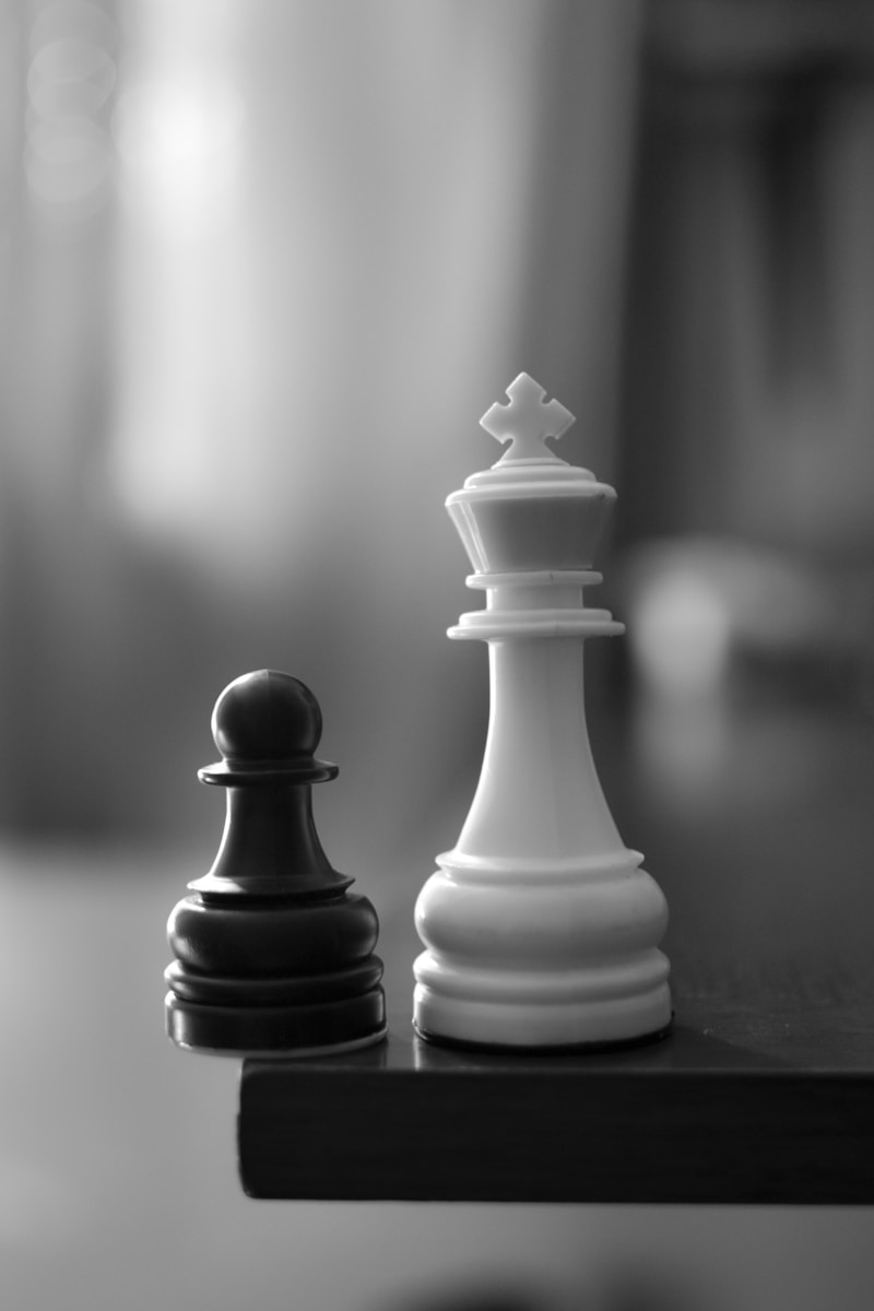 A black and white photo of two chess pieces